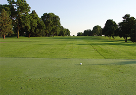 Hole #1