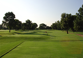 Hole #11