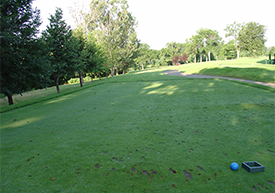 Hole #6