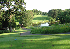 Hole #8
