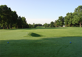 Hole #9